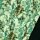 Softshell elastisch bedruckt florales Vignette Muster grün