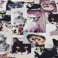 Baumwolljersey Digitaldruck Katzen und Hunde Porträts