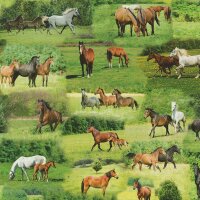 Baumwolldruck Digitaldruck Pferde realistisch grün