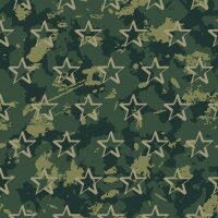 GOTS Sweatshirt Camouflage Stars grün