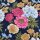 Baumwolljersey bedruckt florales Muster schwarz rosa