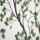 Canvas Dekodruck Baum im Voller Größe natur