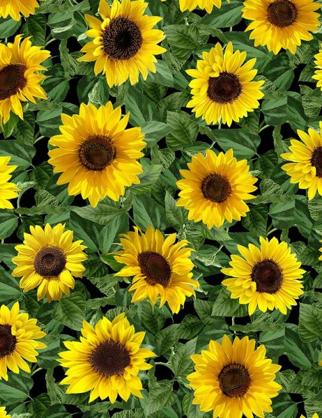 Patchworkstoff Sonnenblumen realistisch